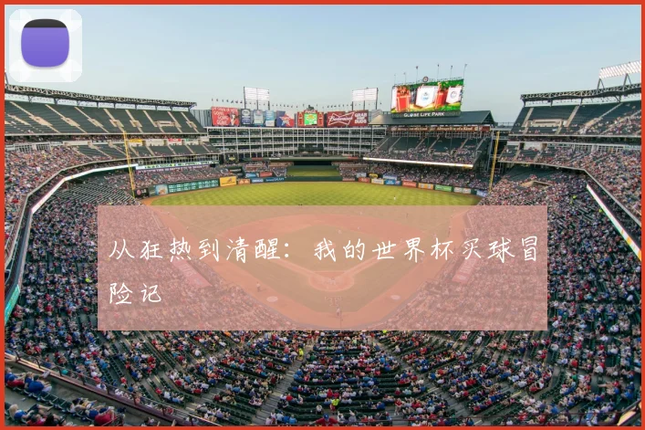 从狂热到清醒：我的世界杯买球冒险记