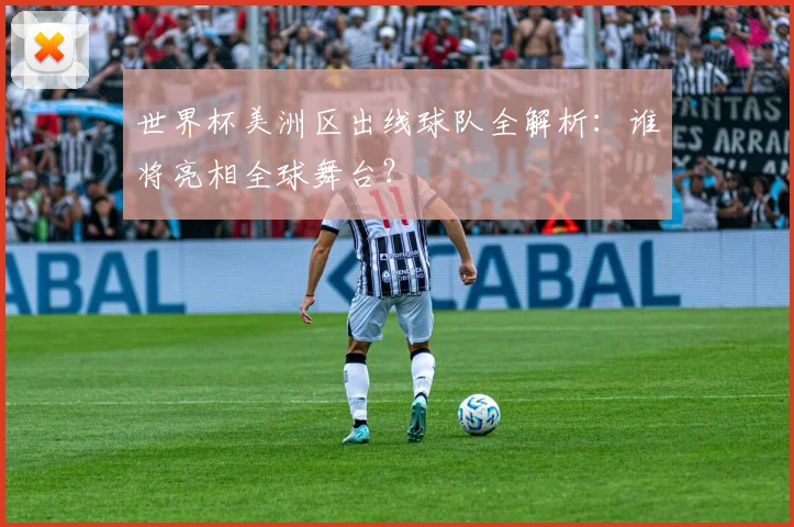 世界杯美洲区出线球队全解析：谁将亮相全球舞台？