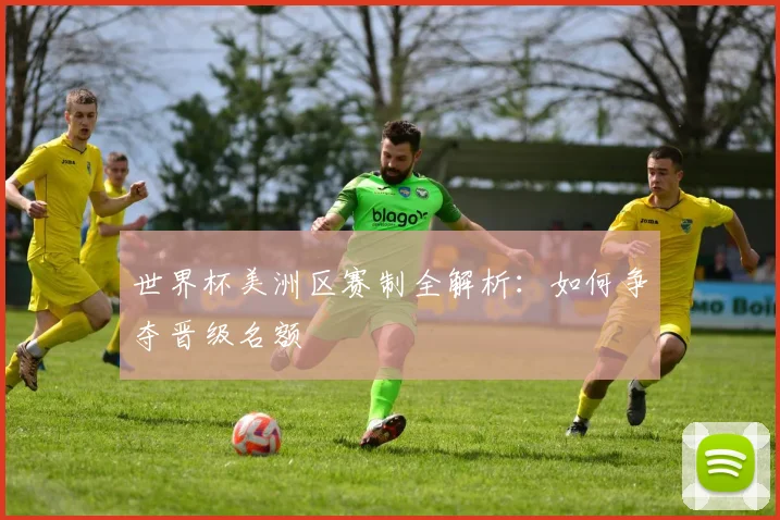 世界杯美洲区赛制全解析：如何争夺晋级名额