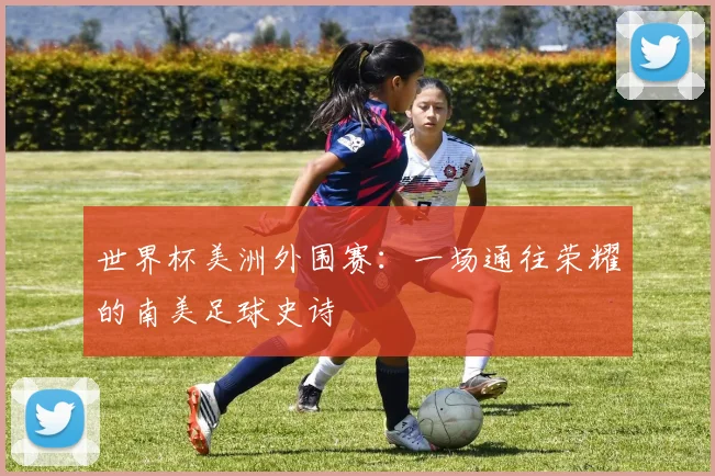 世界杯美洲外围赛：一场通往荣耀的南美足球史诗