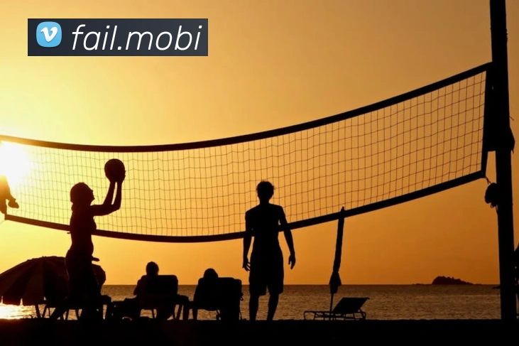 开云app官方版入口app平台生态图